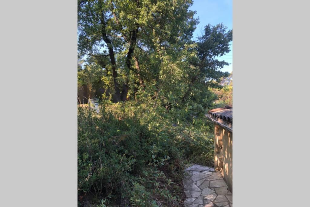L'Escapade. Entre Aix Et Marseille, Studio Pleine Nature. Fuveau Exterior photo